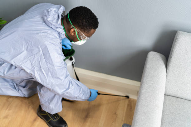 Best Real Estate Pest Inspections  in Tennille, GA